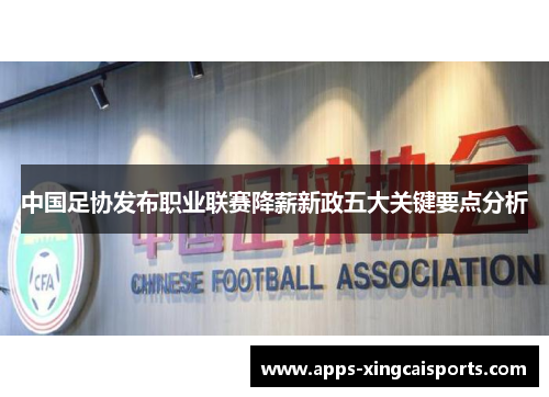 中国足协发布职业联赛降薪新政五大关键要点分析