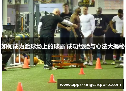 如何成为篮球场上的球霸 成功经验与心法大揭秘