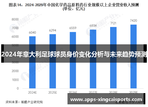 2024年意大利足球球员身价变化分析与未来趋势预测