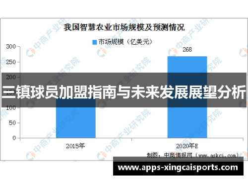 三镇球员加盟指南与未来发展展望分析