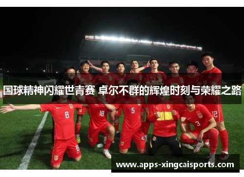 国球精神闪耀世青赛 卓尔不群的辉煌时刻与荣耀之路