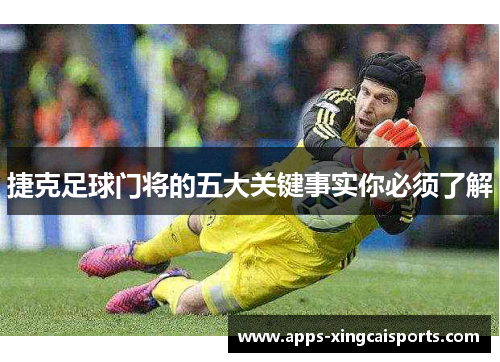 捷克足球门将的五大关键事实你必须了解