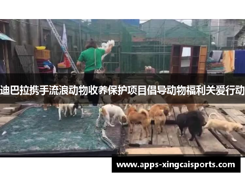 迪巴拉携手流浪动物收养保护项目倡导动物福利关爱行动